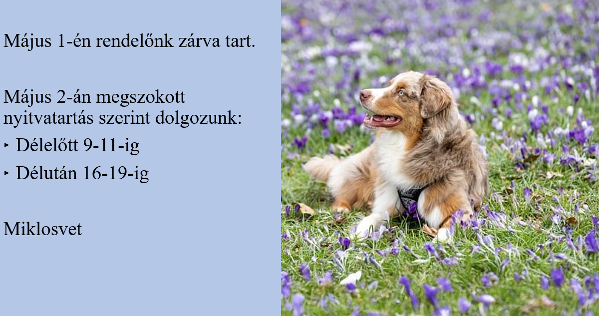mjus 1 nyitvatarts